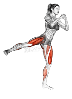 Patada lateral a la gatzoneta demonstration