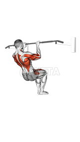 Muscle-up demonstration