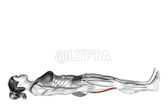 Regangan Hamstrings Baring demonstration