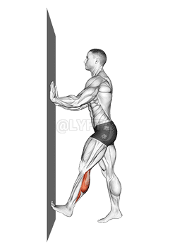 Tele Push Stretch S Rukama Proti Zdi demonstration