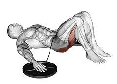 Elevador de quadril com banda demonstration