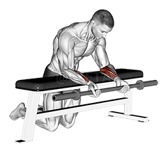 Boucle de poignet avec haltères sur un banc demonstration