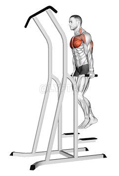 Disi Dip demonstration