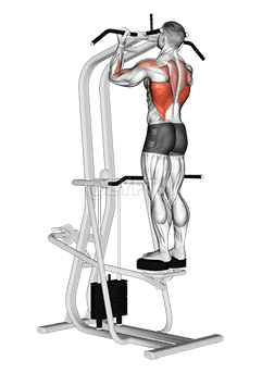 Thumbnail for the video of exercise: Assisted Standing Chin-Up
