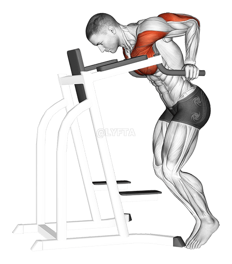 Dip Hold Isometric demonstration