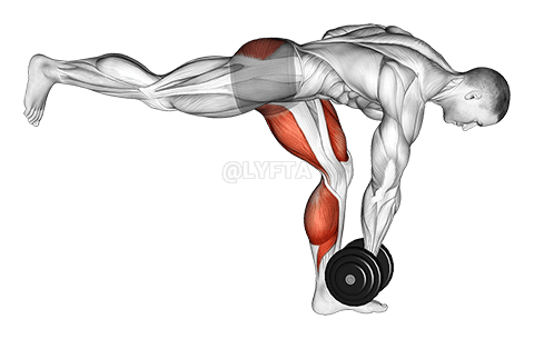 Thumbnail for the video of exercise: Dumbbell RDL Stretch Isometric