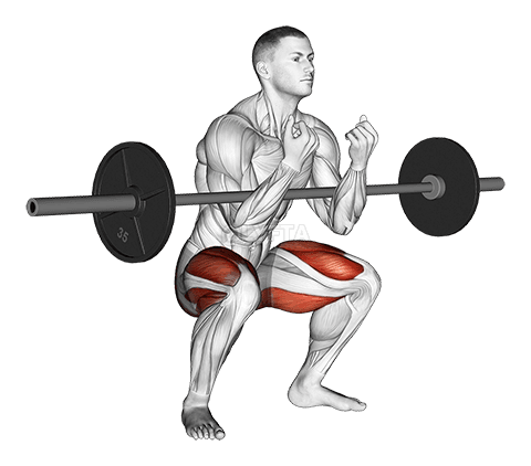 Thumbnail for the video of exercise: Barbell Zercher Squat Hold Isometric