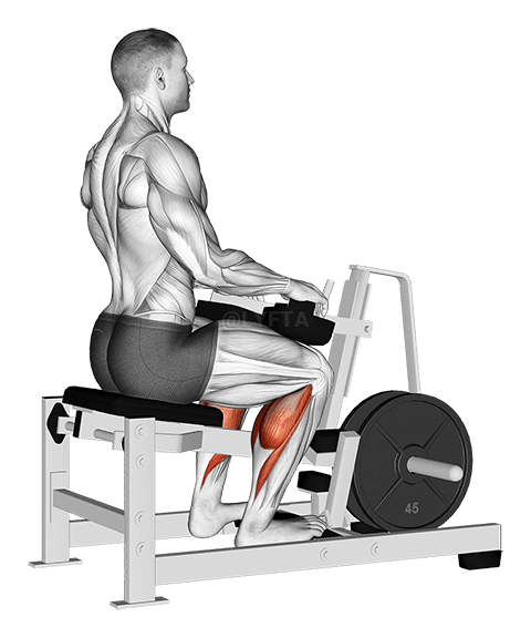 Levier misiden Stretch demonstration