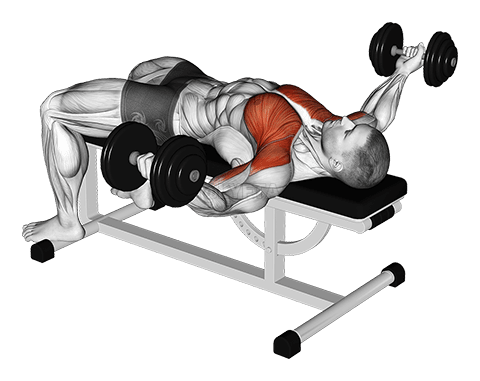 Thumbnail for the video of exercise: Dumbbell Flat Flye Hold Isometric