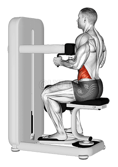 杠杆就位扭转 demonstration