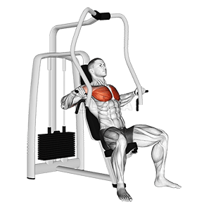 Thumbnail for the video of exercise: Lever Chest Press