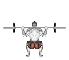 Barbell Full Squat demonstration