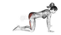 Retrocesso de perna reta demonstration