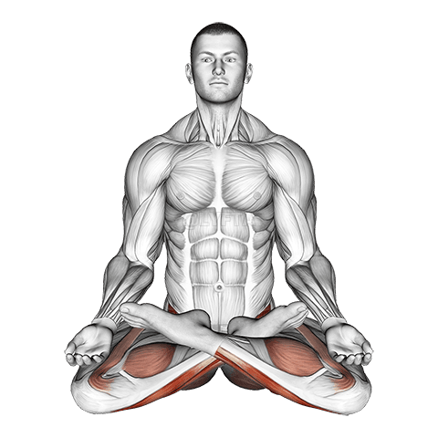 풀 로터스 요가 자세 demonstration