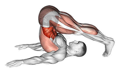 Thumbnail for the video of exercise: Plow Yoga Pose