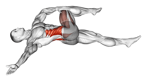 仰臥位脊椎ねじりヨガのポーズ demonstration