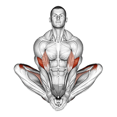 Butterfly Yoga Pose demonstration