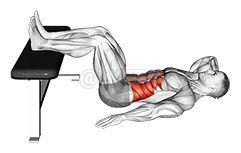 exercise