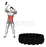 Martell de trineu demonstration