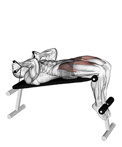 Abdominales con banda declinada demonstration