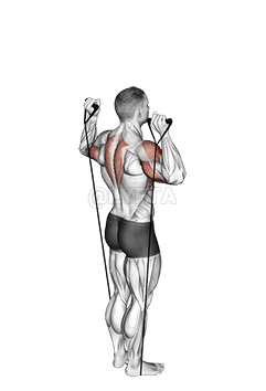 Presse à épaules avec bande derrière le cou demonstration