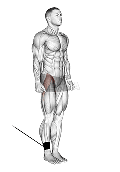 Band hip flexion we dɛn kin yuz demonstration