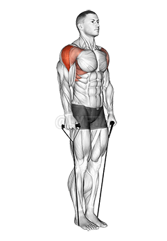 弹力带侧平举 demonstration