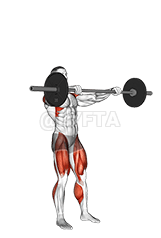 Image of Barbell Muscle Snatch