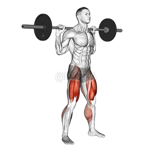 オリンピックスクワット demonstration