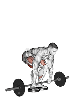 Barbell Romanian Deadlift From Deficit demonstration