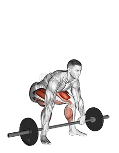 Image of Barbell Snatch Deadlift