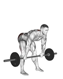 Barbell Wide Stance Stiff Leg Deadlift