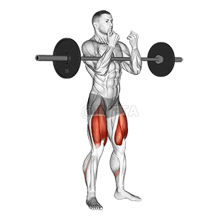 Zercher Squat mobimba demonstration