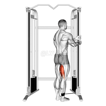 Thumbnail for the video of exercise: تجعيد الساق واقفاً