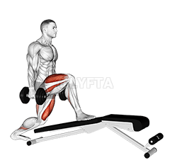 Thumbnail for the video of exercise: Dumbbell Decline Bench Lunge