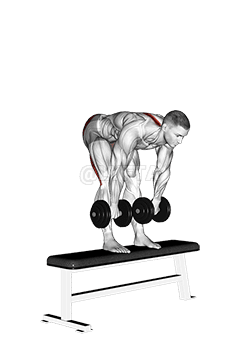 Deadlift de pernas ríxidas con mancuernas no banco demonstration