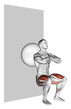 व्यायाम बॉल वॉल स्क्वाट demonstration