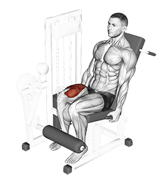 Pákové prodloužení jedné nohy demonstration