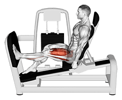 Thumbnail for the video of exercise: লিভাৰ বহি থকা এটা ভৰি বহল স্কোৱাট