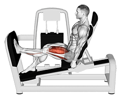 Vivulla istuva yhden jalan kyykky demonstration