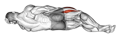 Thumbnail for the video of exercise: Lying Hip Flexor
