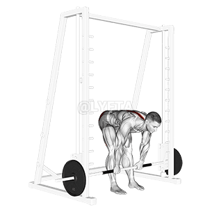 Smith-Kreuzheben mit steifen Beinen demonstration
