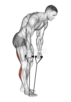 Stående hamstring og lægstræk med strop demonstration
