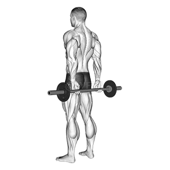 Hapykuéri Dedo Trasero Curl demonstration