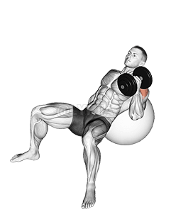 Thumbnail for the video of exercise: Dumbbell Incline One Arm Hammer Press on Exercise Ball