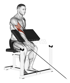 Cabo Pregador Reverso de Um Braço Curl demonstration