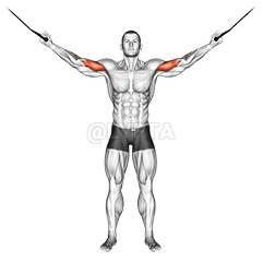 Overhead Curl demonstration