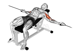 Flexão de dois braços com cabo no banco inclinado demonstration