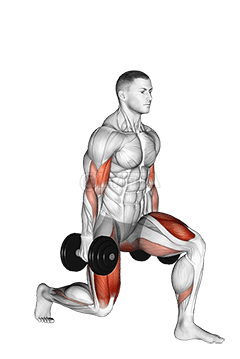 Thumbnail for the video of exercise: गेंदबाजी गति के साथ डम्बल बाइसेप कर्ल लंग