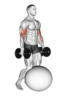 Thumbnail for the video of exercise: डम्बेल घुँडा टेकेर बाइसेप कर्ल व्यायाम बल